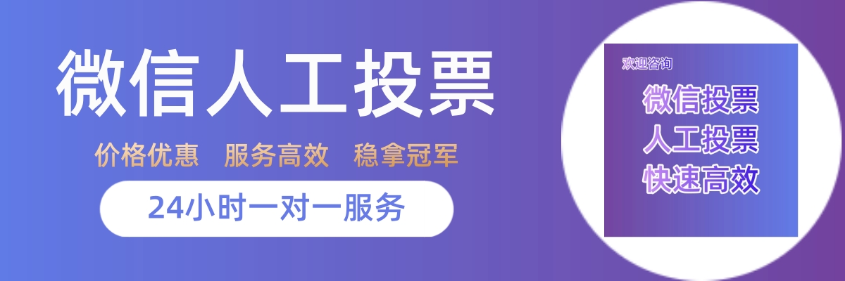 投票助力平台专业团队